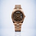 Oyster Perpetual - Brown & Or rose
